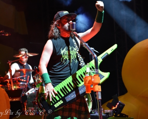 Alestorm Rock Castle 2026 (3)