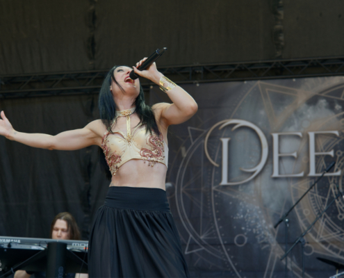 DEEP SUN Rock Castle 2026 (1)